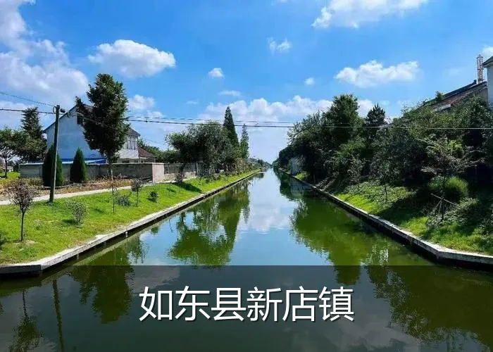 如东县新店镇