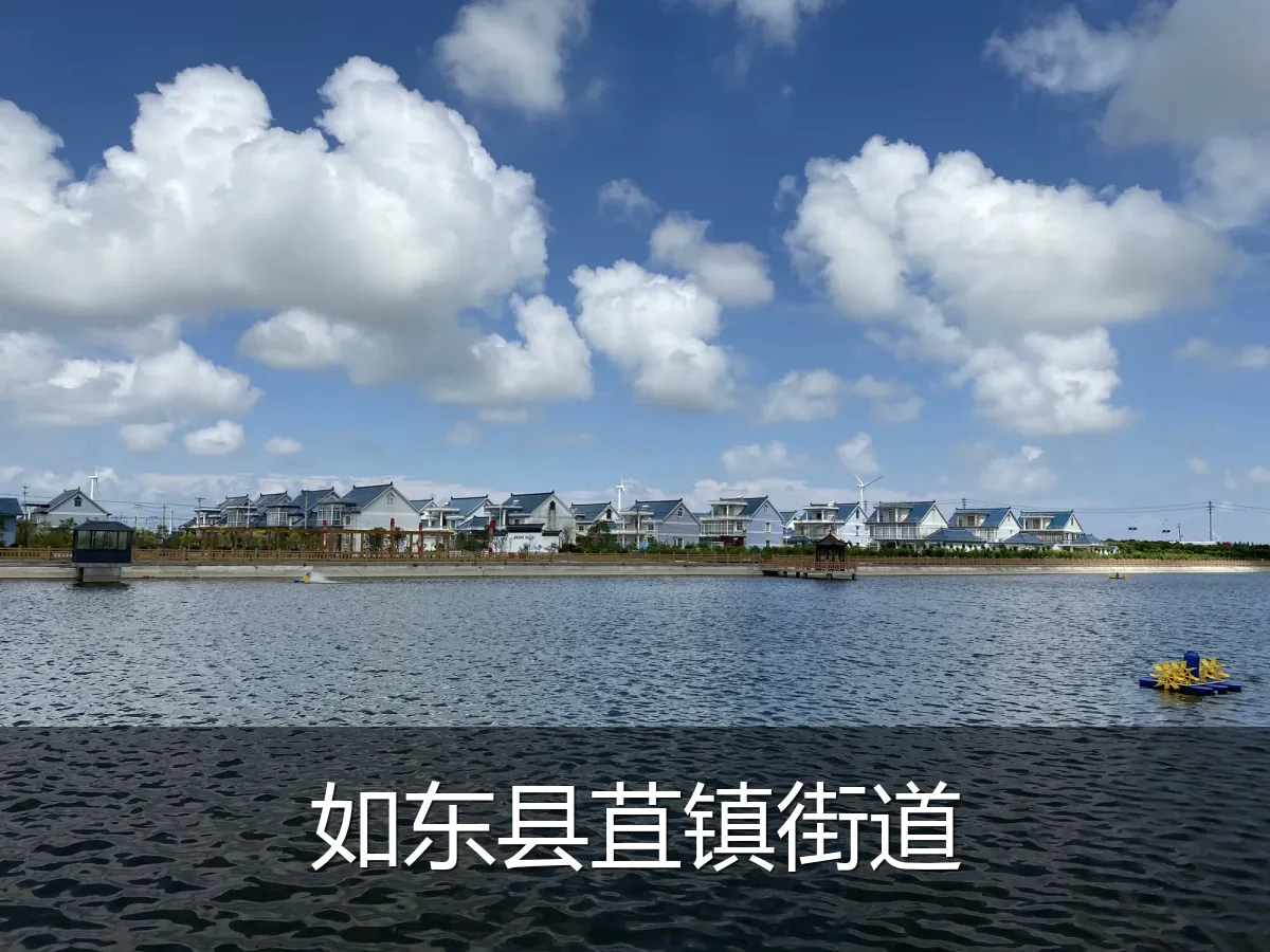 如东县苴镇街道